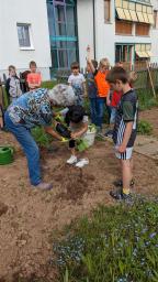 Schüler beim Pflanzen im Schulgarten der Grundschule Hardt