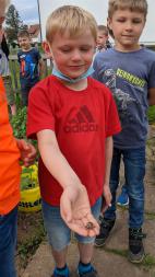 Schüler mit Maikäfer auf der Hand