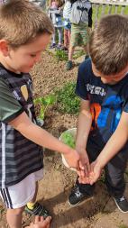 Schüler mit Maikäfer auf der Hand