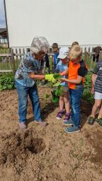 Schüler bei Pflanzarbeiten im Schulgarten