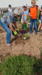Schüler bei Pflanzarbeiten im Schulgarten