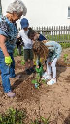 Schüler bei Pflanzarbeiten im Schulgarten