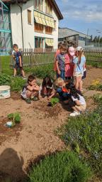 Schüler bei Pflanzarbeiten im Schulgarten