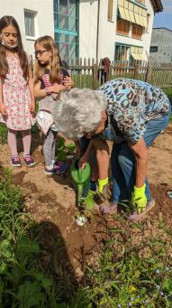 Schüler bei Pflanzarbeiten im Schulgarten