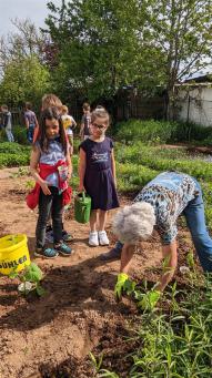 Schüler bei Pflanzarbeiten im Schulgarten der Grundschule Hardt