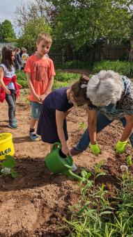 Schüler bei Pflanzarbeiten im Schulgarten der Grundschule Hardt