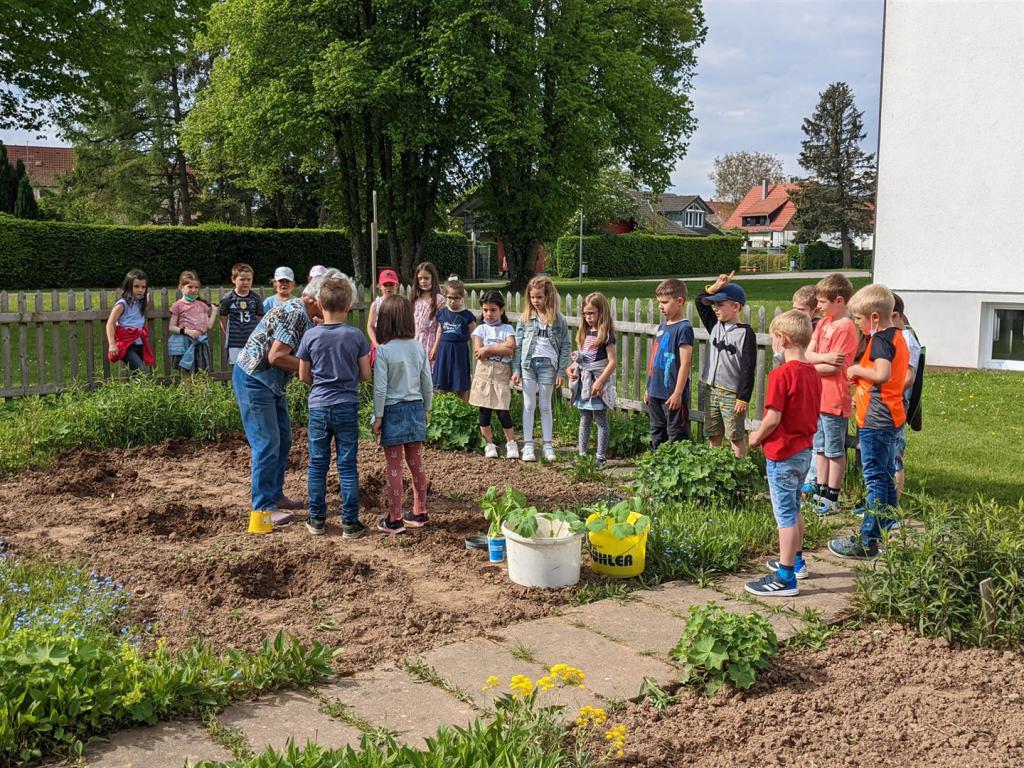 Schüler im Schulgarten