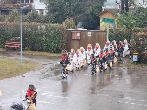 Weiße und schwarze Hardter Katzen Narren auf dem nassen Schulhof
