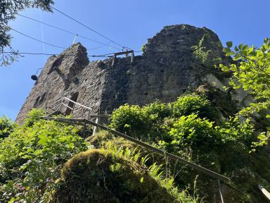 Überreste einer großen Burg oder Festung aus Stein, die von dichtem Grün überwuchert sind, vor blauem Himmel.