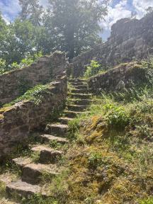 Alte Treppenstufen in eine steile, felsige Böschung, die mit Moos und Vegetation überwachsen sind.