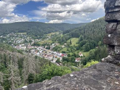 Panoramablick auf eine Siedlung in einem bewaldeten Tal unter einem bewölkten Himmel.