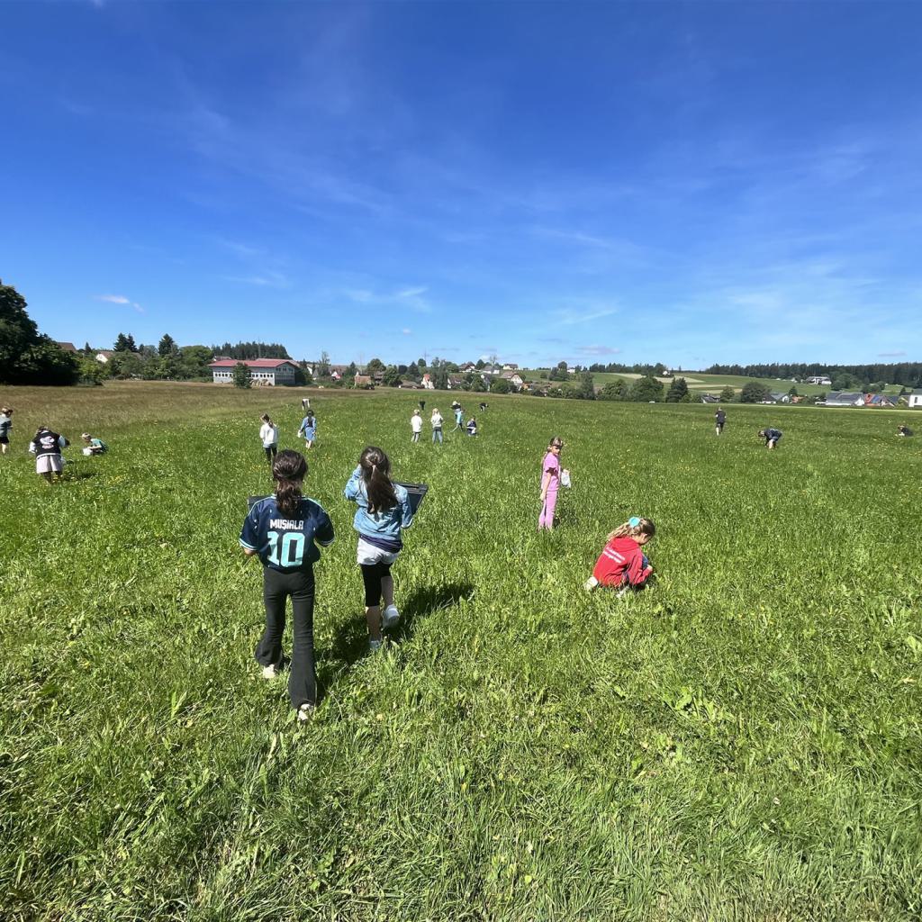 Eine Gruppe von Menschen spielt auf einer großen, grünen Wiese unter einem klaren blauen Himmel.
